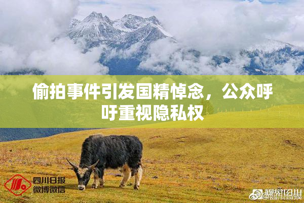偷拍事件引发国精悼念，公众呼吁重视隐私权