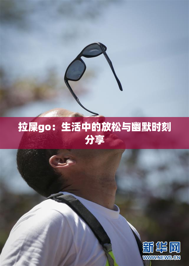 拉屎go：生活中的放松与幽默时刻分享