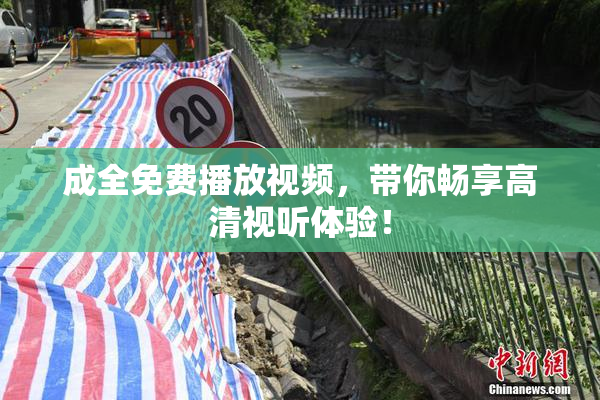 成全免费播放视频，带你畅享高清视听体验！
