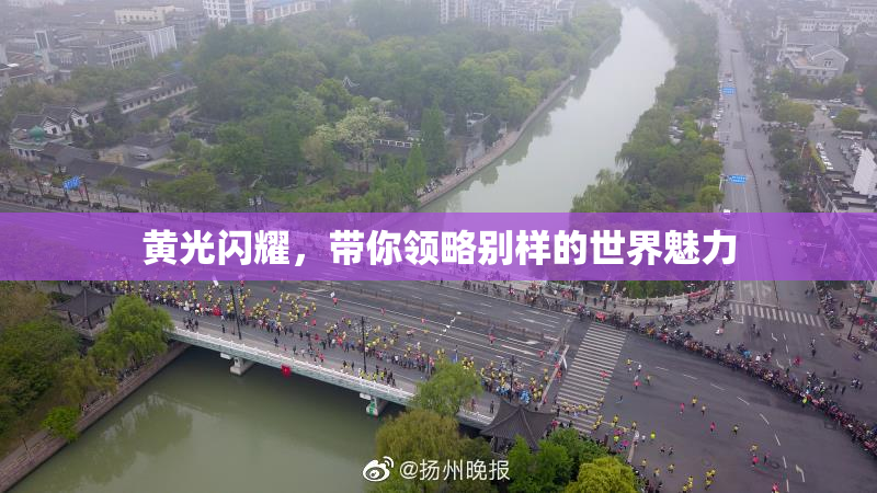黄光闪耀，带你领略别样的世界魅力