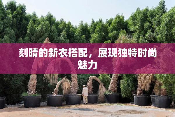 刻晴的新衣搭配，展现独特时尚魅力
