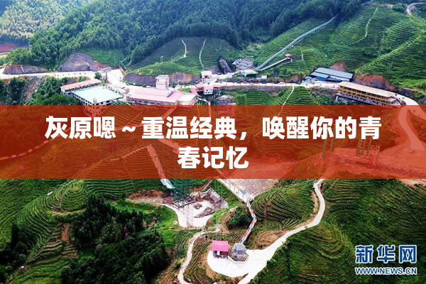 灰原嗯～重温经典，唤醒你的青春记忆
