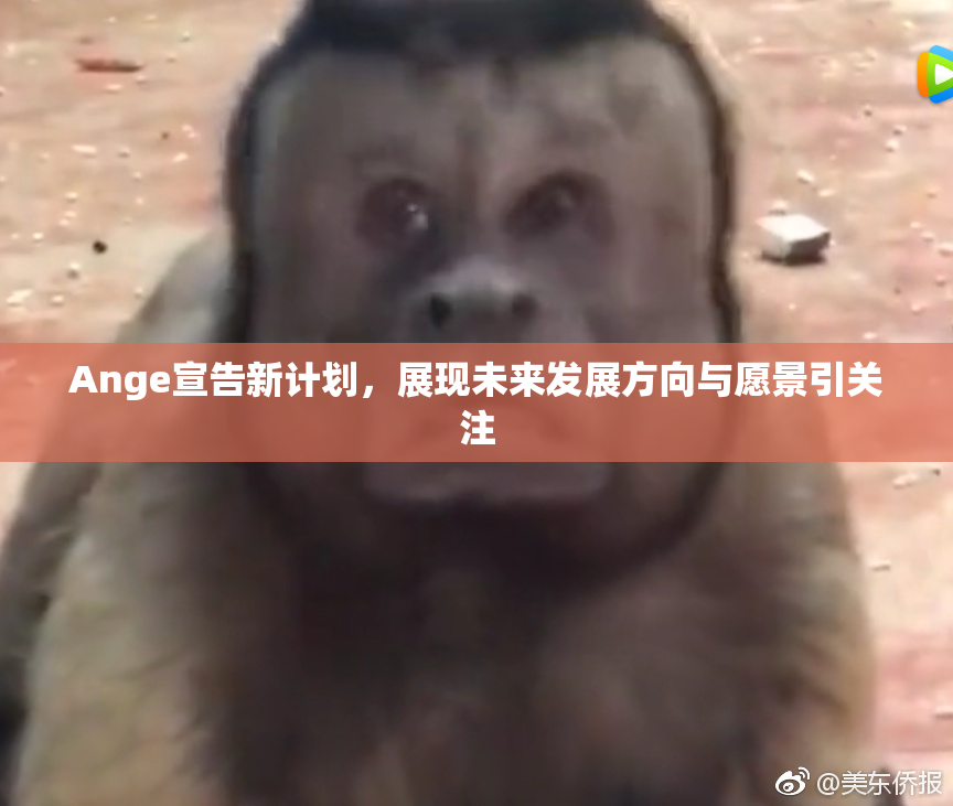 Ange宣告新计划，展现未来发展方向与愿景引关注