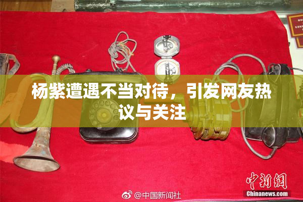 杨紫遭遇不当对待，引发网友热议与关注
