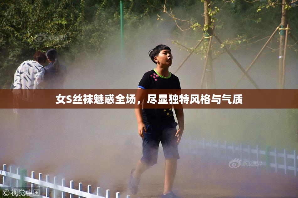女S丝袜魅惑全场，尽显独特风格与气质