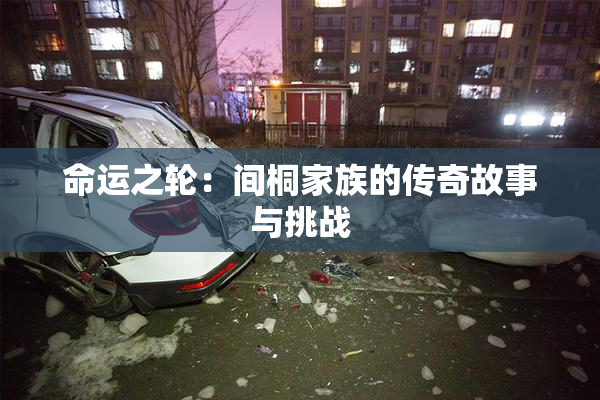 命运之轮：间桐家族的传奇故事与挑战