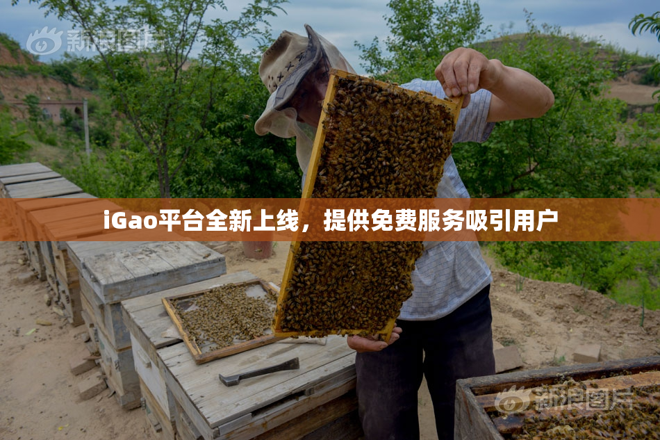 iGao平台全新上线，提供免费服务吸引用户