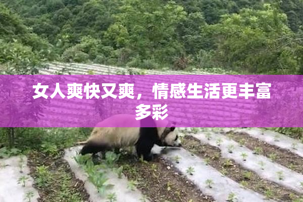 女人爽快又爽，情感生活更丰富多彩