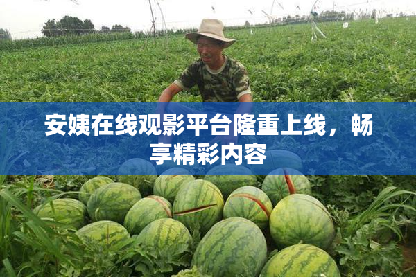 安姨在线观影平台隆重上线，畅享精彩内容