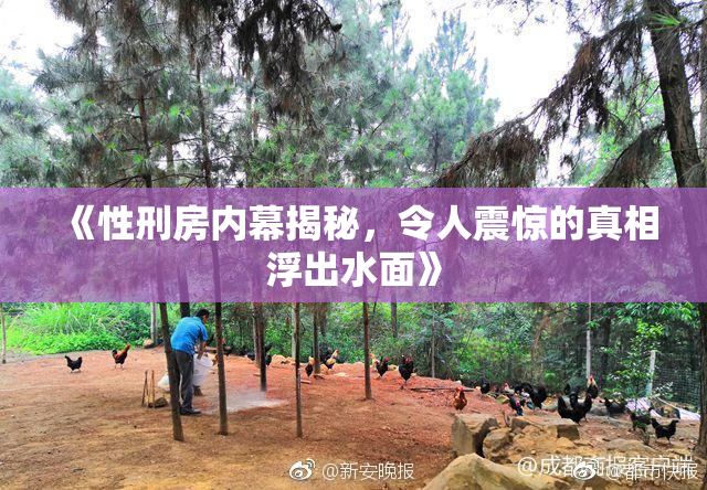 《性刑房内幕揭秘，令人震惊的真相浮出水面》