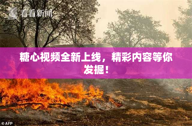 糖心视频全新上线，精彩内容等你发掘！