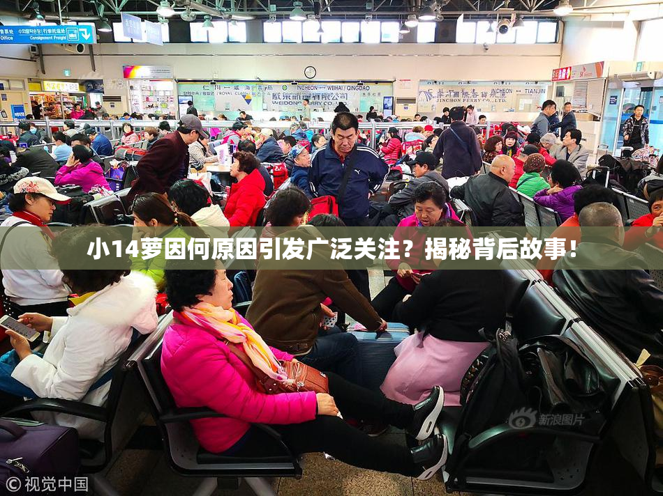 小14萝因何原因引发广泛关注？揭秘背后故事！