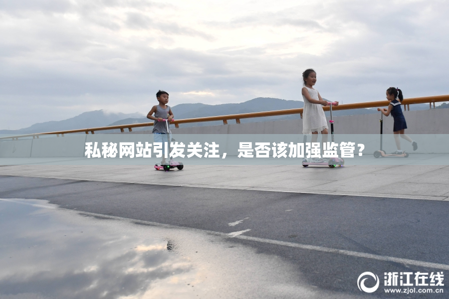 私秘网站引发关注，是否该加强监管？