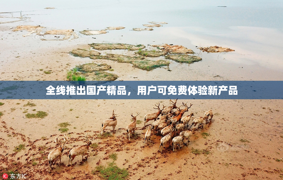 全线推出国产精品，用户可免费体验新产品