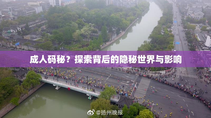 成人码秘？探索背后的隐秘世界与影响