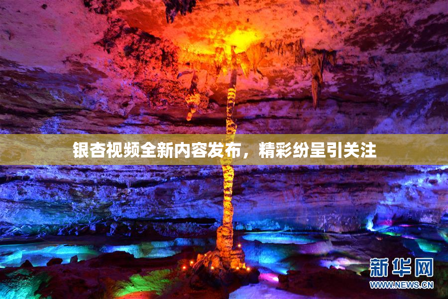 银杏视频全新内容发布，精彩纷呈引关注