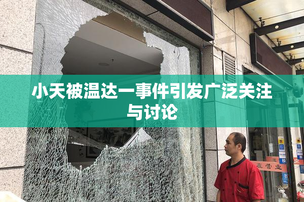 小天被温达一事件引发广泛关注与讨论
