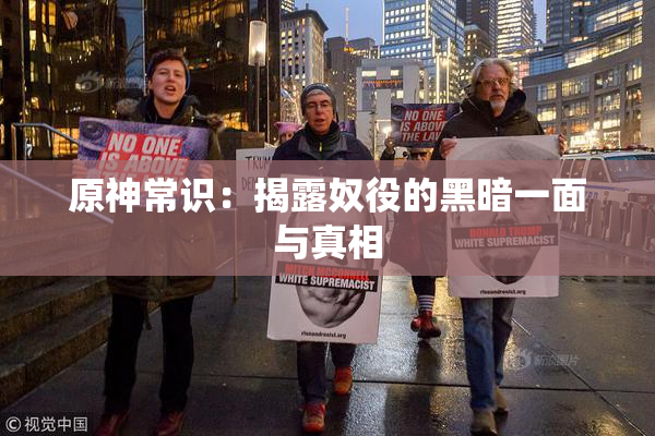 原神常识：揭露奴役的黑暗一面与真相
