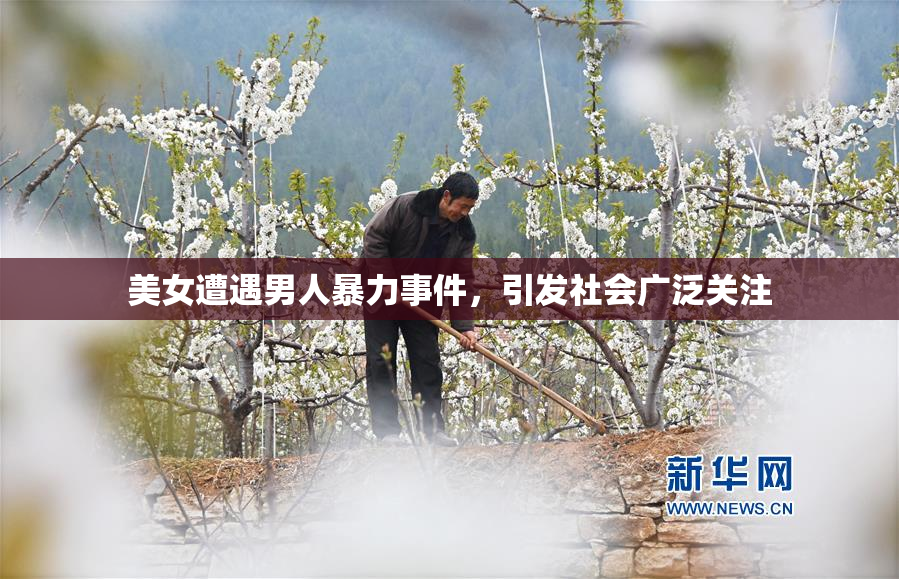 美女遭遇男人暴力事件，引发社会广泛关注