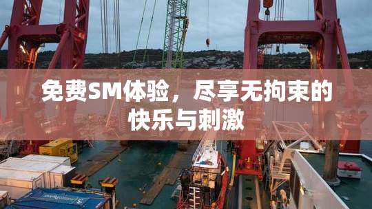 免费SM体验，尽享无拘束的快乐与刺激