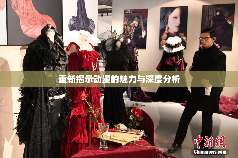 重新揭示动漫的魅力与深度分析