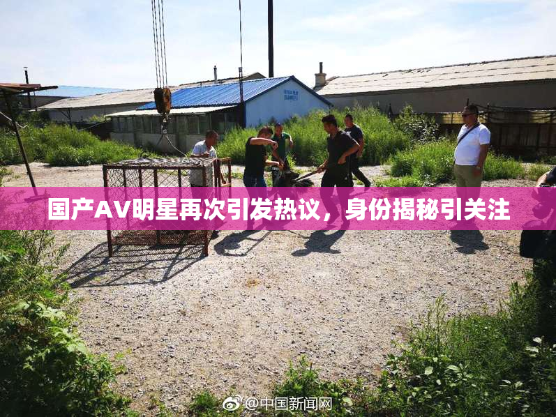 国产AV明星再次引发热议，身份揭秘引关注