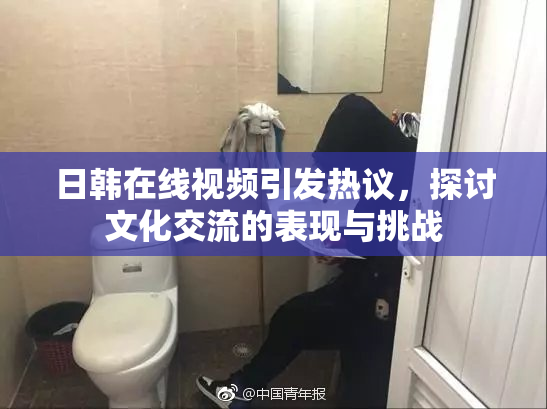 日韩在线视频引发热议，探讨文化交流的表现与挑战