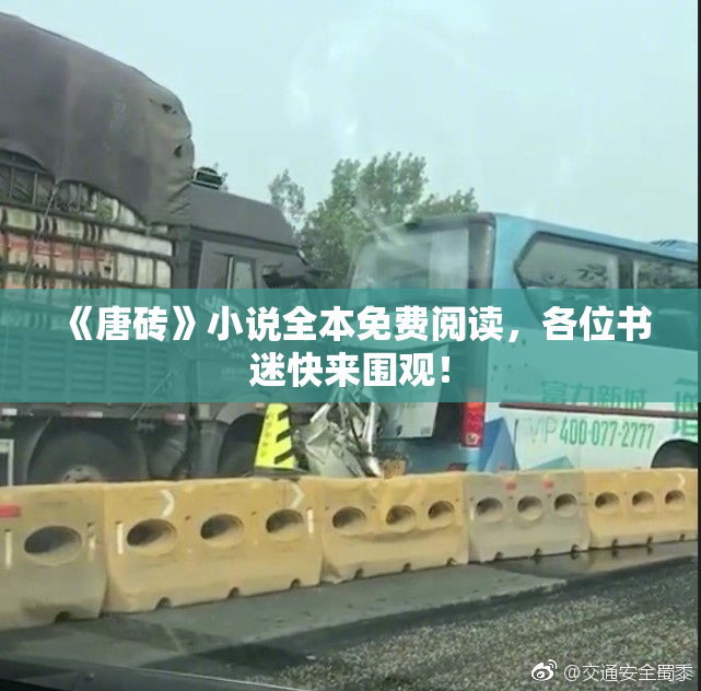 《唐砖》小说全本免费阅读，各位书迷快来围观！