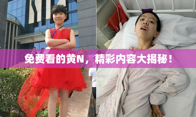 免费看的黄Ν，精彩内容大揭秘！
