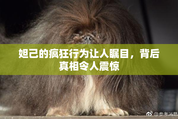 妲己的疯狂行为让人瞩目，背后真相令人震惊
