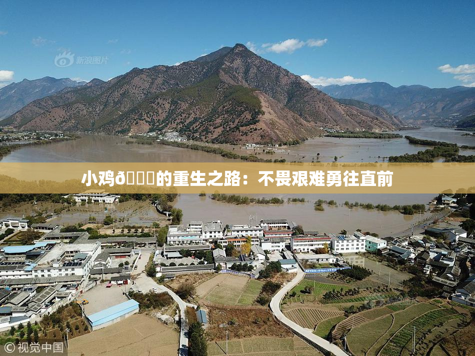 小鸡🐔的重生之路：不畏艰难勇往直前