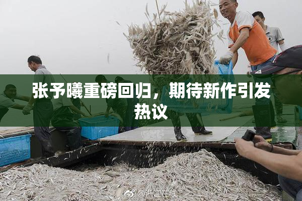 张予曦重磅回归，期待新作引发热议