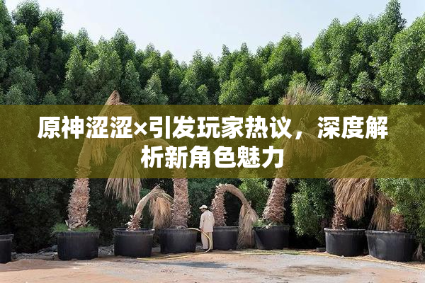 原神涩涩×引发玩家热议，深度解析新角色魅力