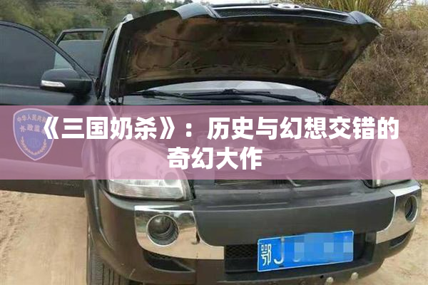 《三国奶杀》：历史与幻想交错的奇幻大作