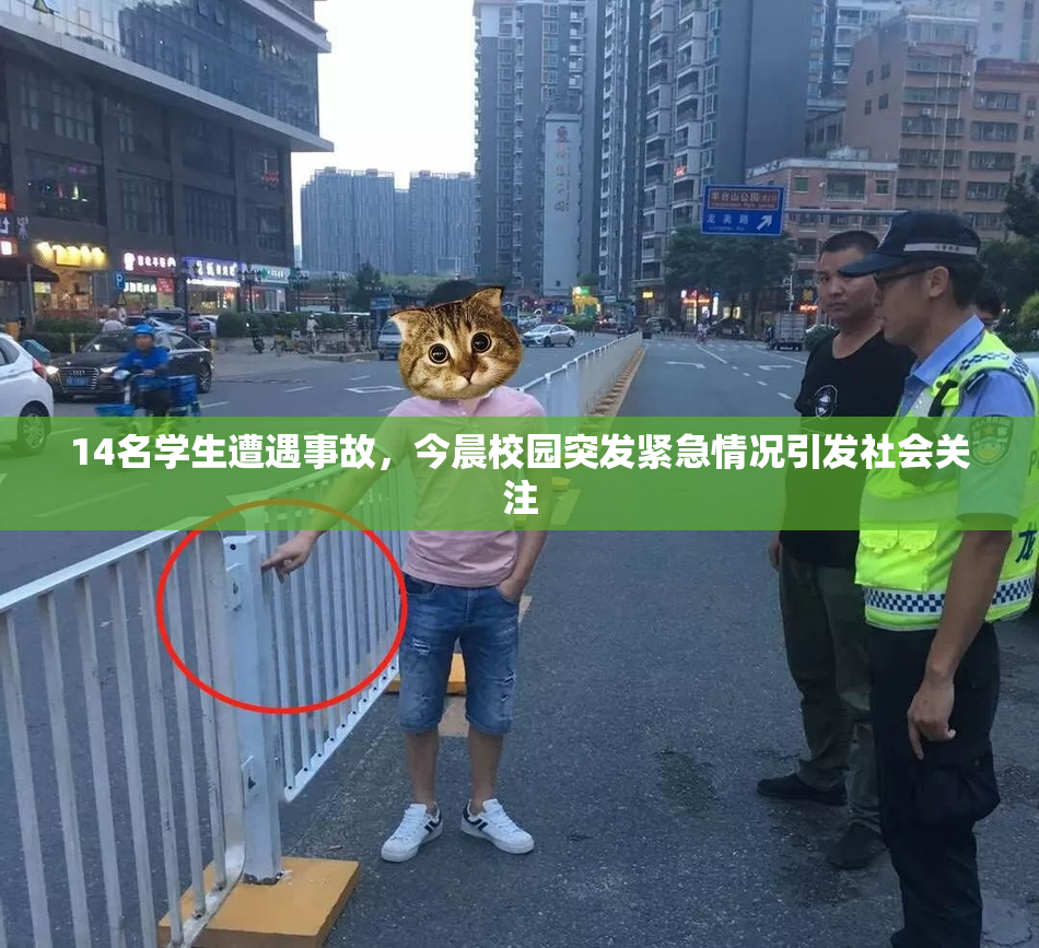 14名学生遭遇事故，今晨校园突发紧急情况引发社会关注