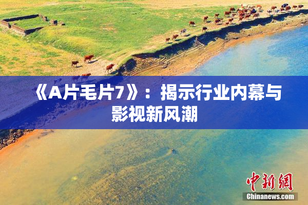 《A片毛片7》：揭示行业内幕与影视新风潮