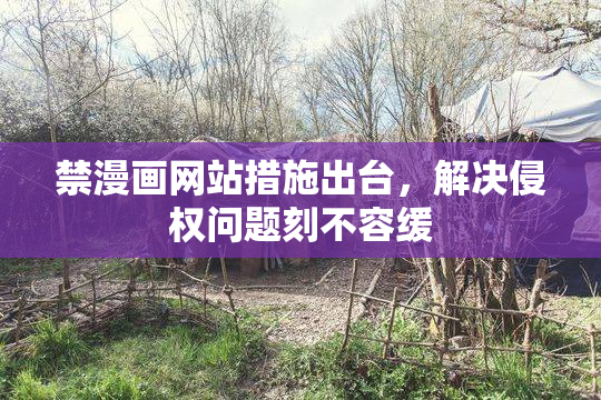 禁漫画网站措施出台，解决侵权问题刻不容缓