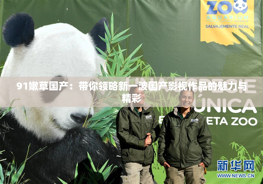 91嫩草国产：带你领略新一波国产影视作品的魅力与精彩