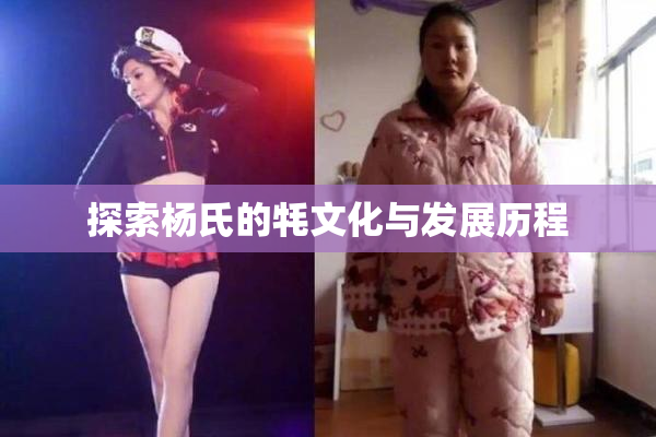探索杨氏的牦文化与发展历程