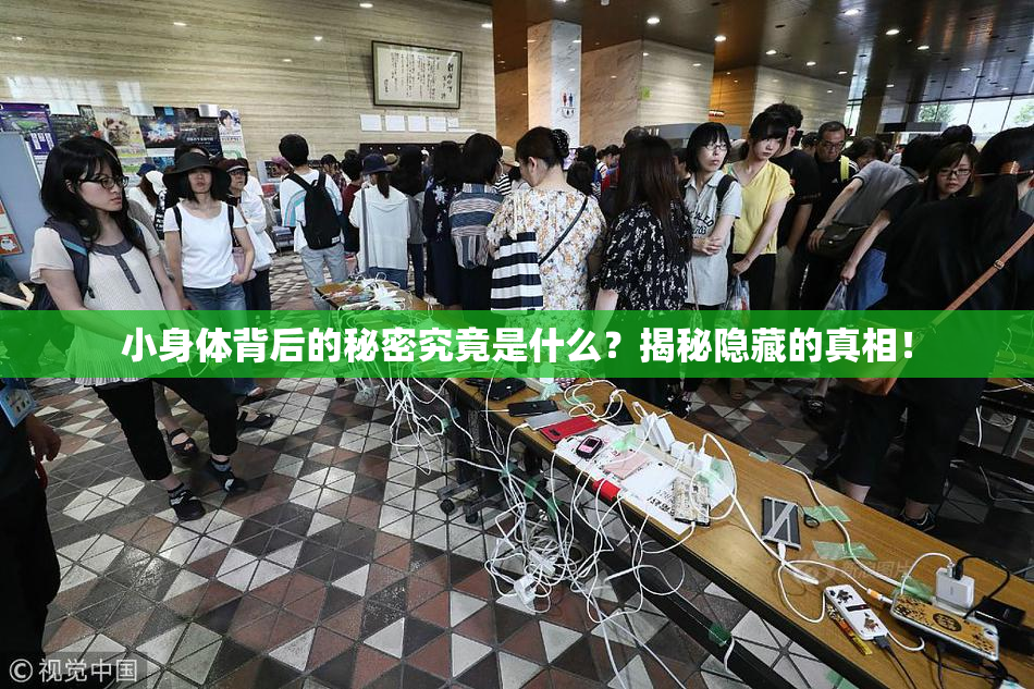 小身体背后的秘密究竟是什么？揭秘隐藏的真相！