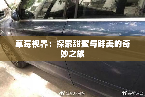 草莓视界：探索甜蜜与鲜美的奇妙之旅