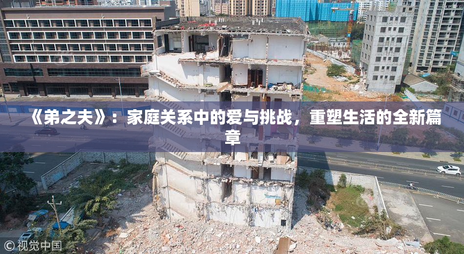 《弟之夫》：家庭关系中的爱与挑战，重塑生活的全新篇章