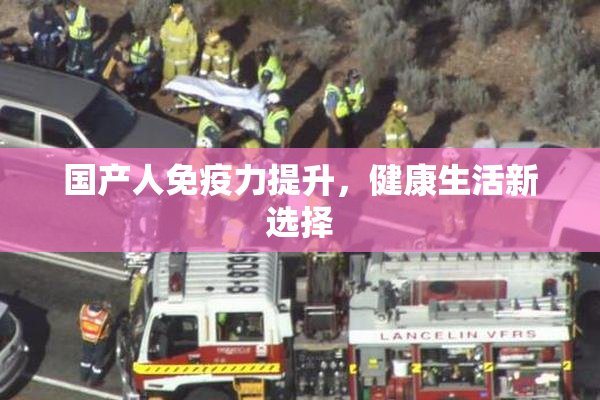 国产人免疫力提升，健康生活新选择