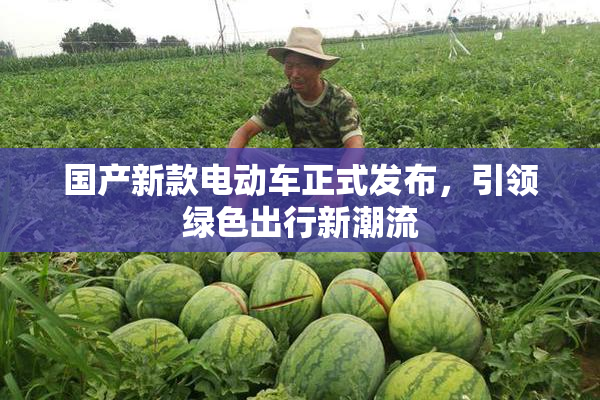国产新款电动车正式发布，引领绿色出行新潮流