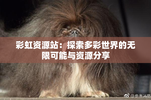 彩虹资源站：探索多彩世界的无限可能与资源分享