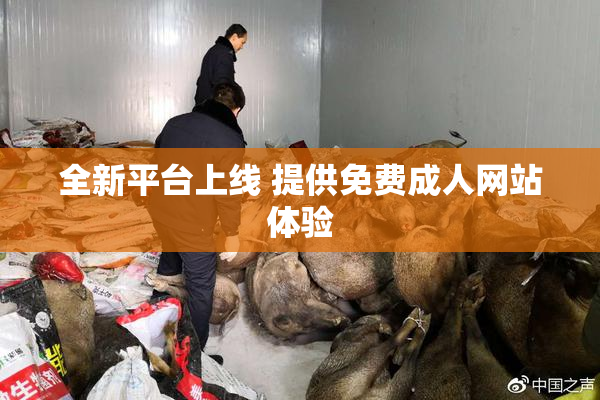 全新平台上线 提供免费成人网站体验