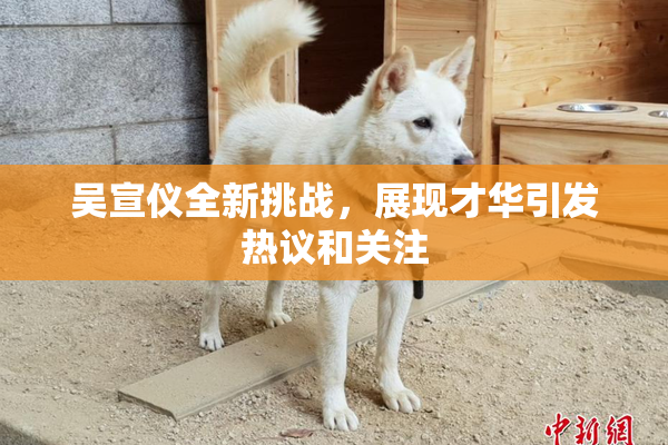 吴宣仪全新挑战，展现才华引发热议和关注