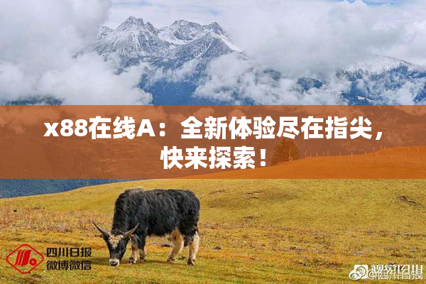 x88在线A：全新体验尽在指尖，快来探索！