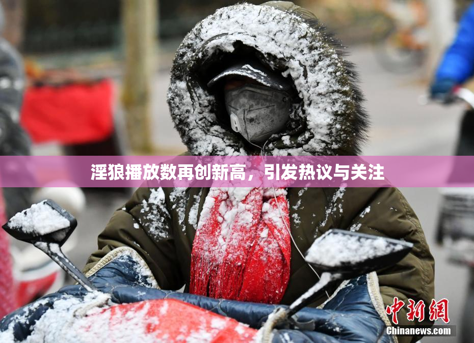 淫狼播放数再创新高，引发热议与关注