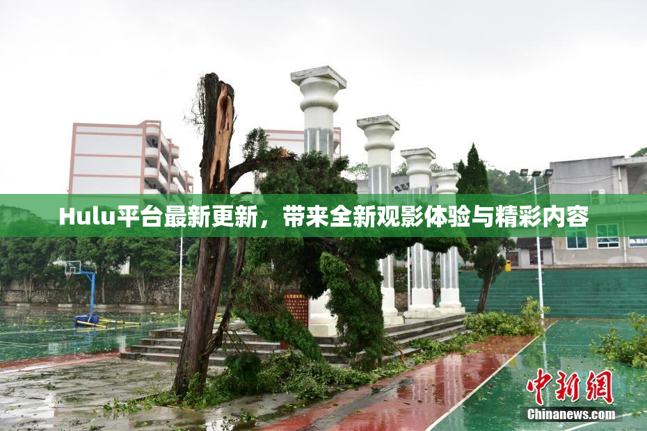 Hulu平台最新更新，带来全新观影体验与精彩内容